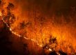combate aos incêndios